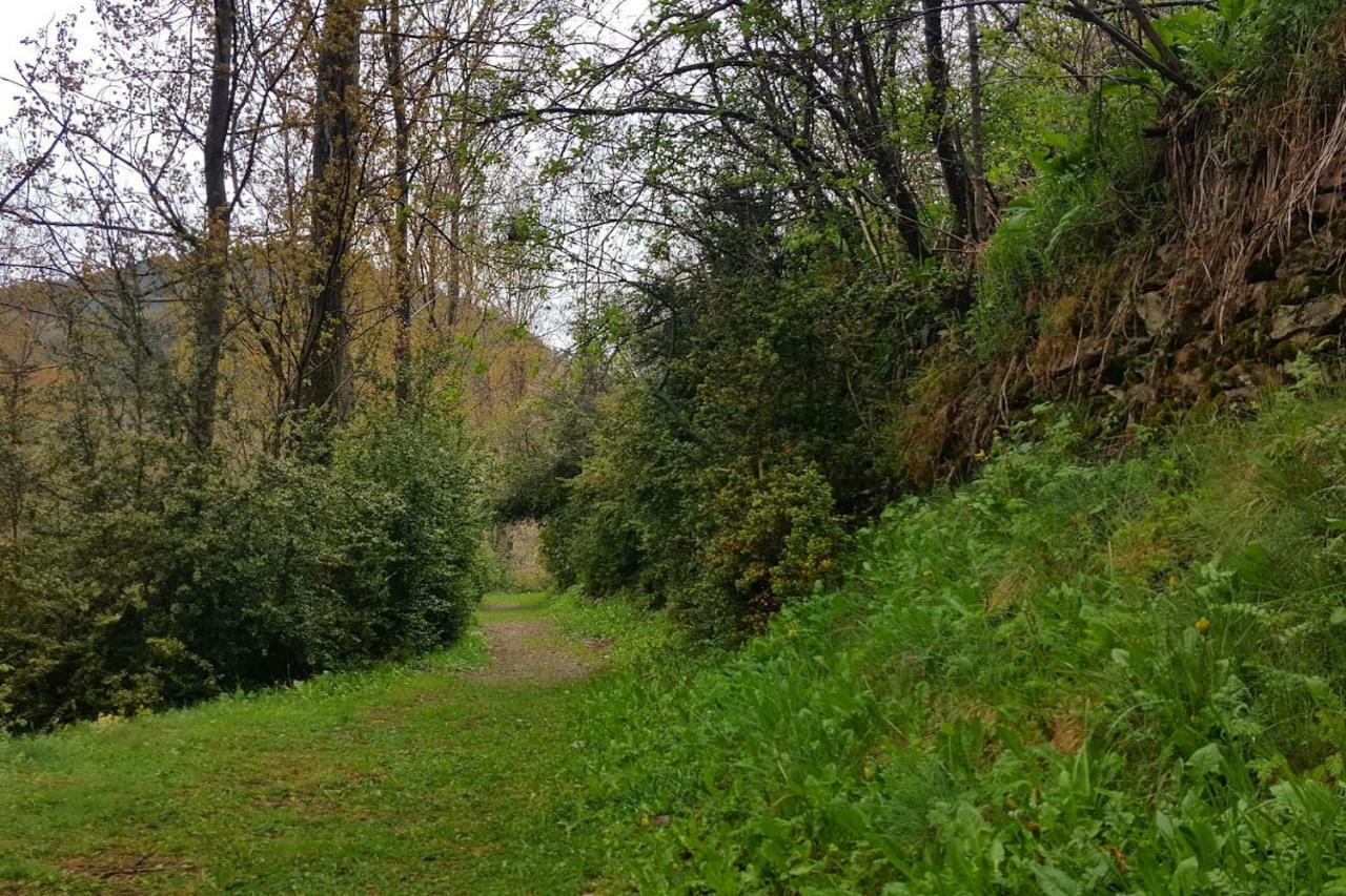 Les Forques De'N Pep Appartement Toses Buitenkant foto
